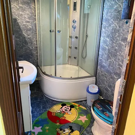 Casa Violeta Homestay Bradulet